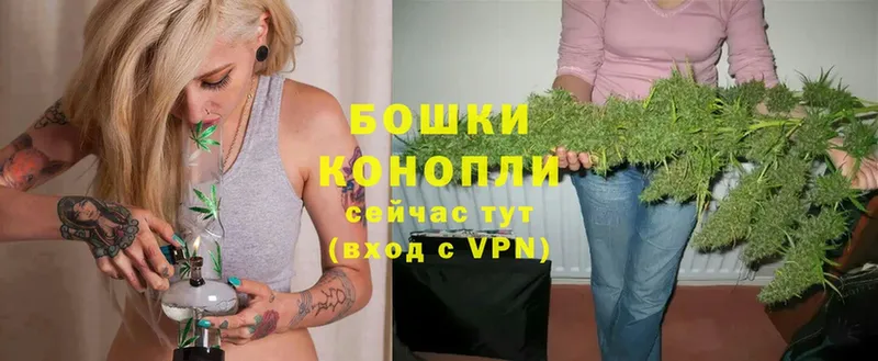 Канабис OG Kush  Шарыпово 